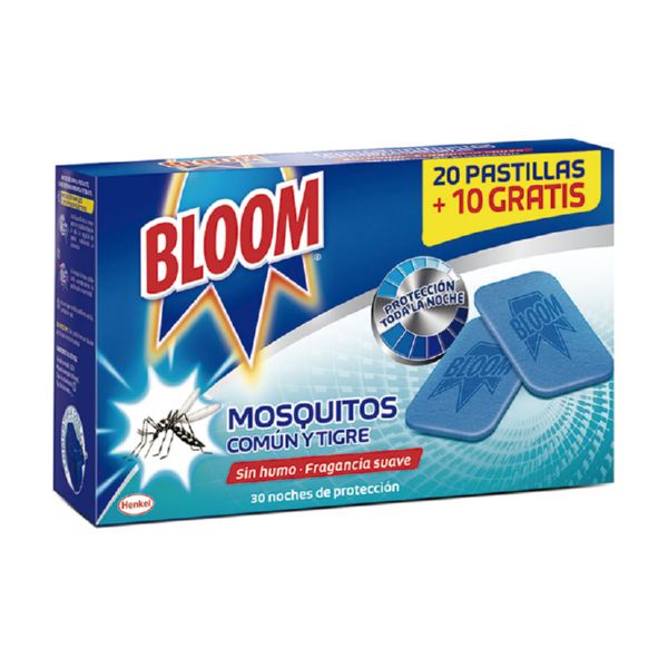 BLOOM ELECTRICO PASTILL. REC 20+10